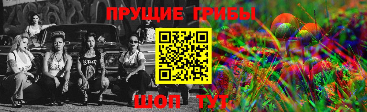 Галлюциногенные грибы Magic Shrooms  купить наркотик  Мариинск  Вход с VPN 