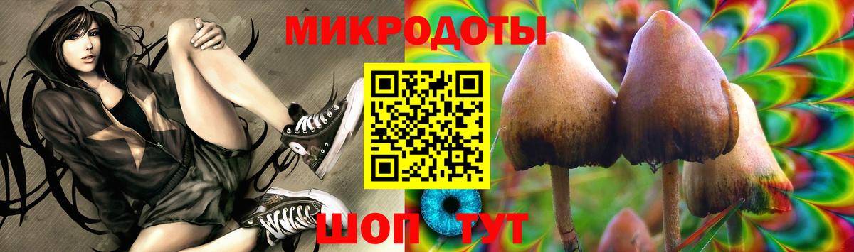 Псилоцибиновые грибы Cubensis Мариинск